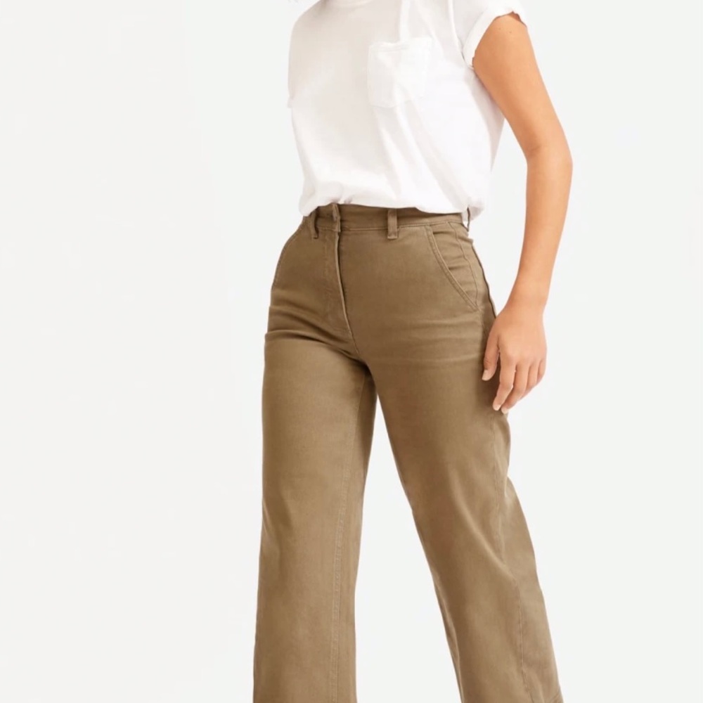 Rust Everlane wide-leg crop pant